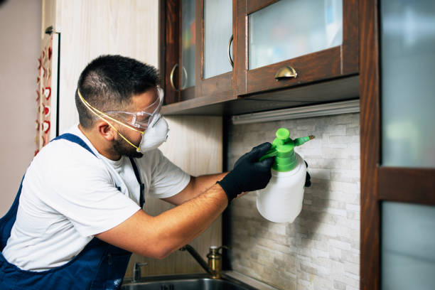 Best Pest Prevention Services  in Greenville, AL