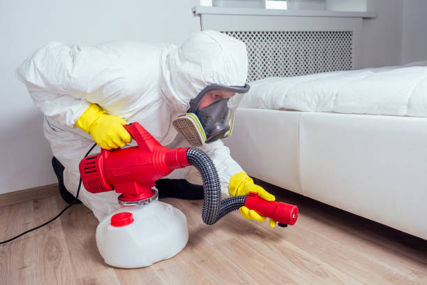 Best Termite Control Services  in Greenville, AL