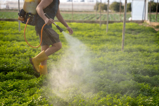 Best Pest Inspection Near Me  in Greenville, AL