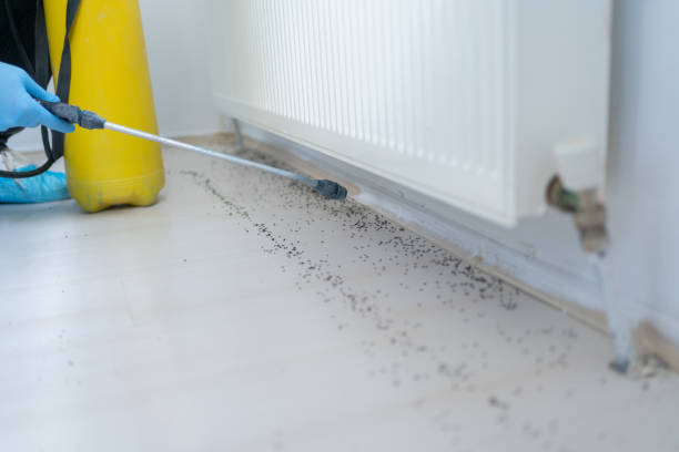 Professional Pest Control in Greenville, AL