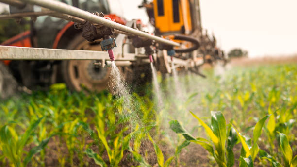 Best Wildlife Control Services  in Greenville, AL